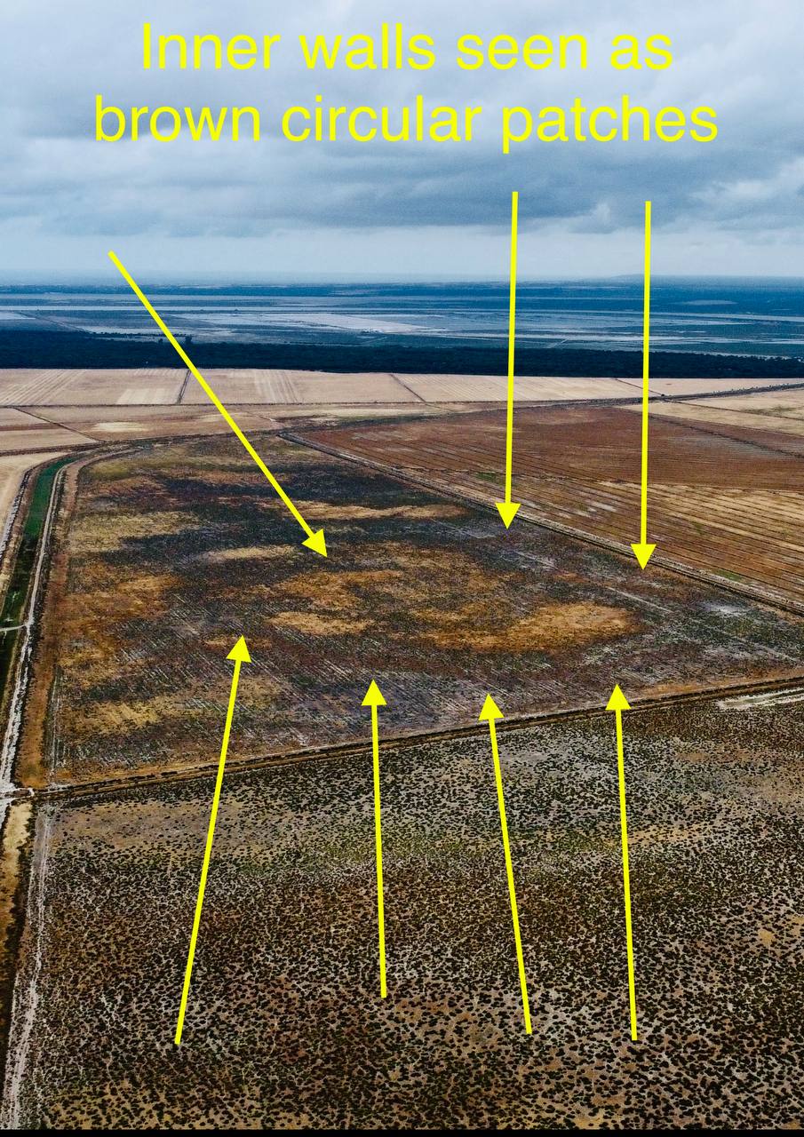 Ring structures east of La Algaida