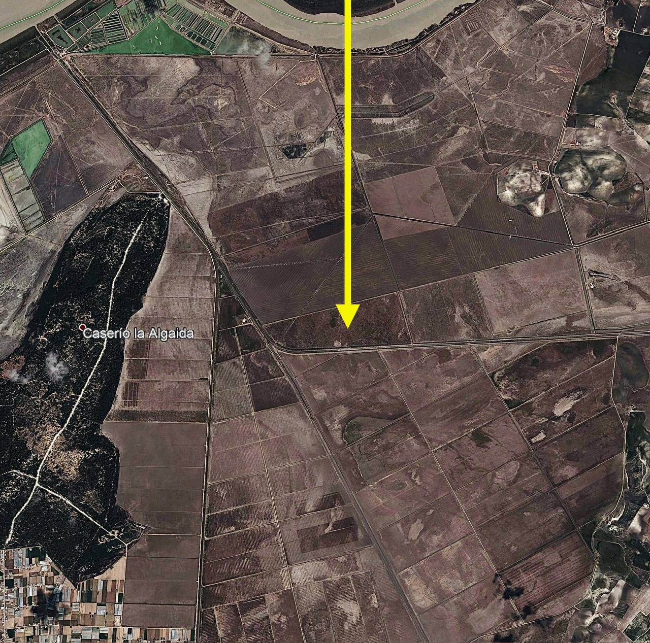 Central point of ring structures